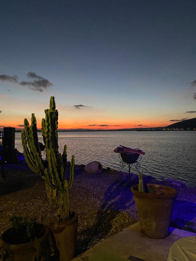 Cheeky Monkey Hotel Ghar el-Melh ภายนอก รูปภาพ